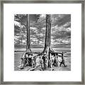 Driftwood Beach In Black And White #3 Framed Print