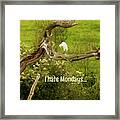 I Hate Mondays #2 Framed Print