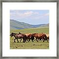 Nature In Mongolia #2 Framed Print