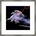 Nina Underwater For The Hydroflute Project #2 Framed Print