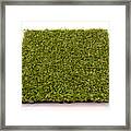 Patch Of Artificial Turf #2 Framed Print