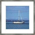 Sailboat  #2 Framed Print