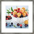 Summer Fruit #2 Framed Print