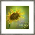 Sunflower #2 Framed Print