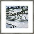 The Farmer Planted Rice Seedlings In The Terrace #2 Framed Print