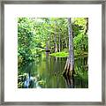 Tropical River 3 Framed Print