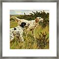 Two English Setters #2 Framed Print