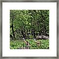 2022  Busy Afternoon At The Basin Framed Print