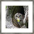 Shades Of Emotions - Nature Always Wins Framed Print