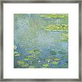 Waterlilies Framed Print