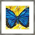 Blue Morpho Butterfly #2 Framed Print