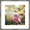 Hummingbirds And Orchids #3 Framed Print