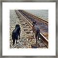 Irondale Train Viewing Platform #3 Framed Print