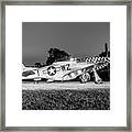 P-51d Mustang Contrary Mary #3 Framed Print