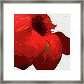 Red Flower #2 Framed Print