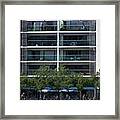 Dublin #31 Framed Print