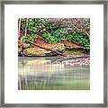 Around The Bend Framed Print