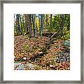 Appalachian Autumn #4 Framed Print