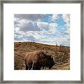 Buffalo With Clouds At Theodore Roosevelt National Park In North Dakota #4 Framed Print