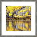 Fall Colors, Colorado #6 Framed Print