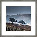 San Miguel #5 Framed Print