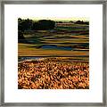 Streamsong Resort Red And Blue Courses #4 Framed Print