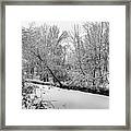 Trees In Winter's Snow #4 Framed Print