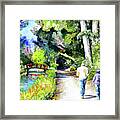 #430 Uc Davis Arboretum #430 Framed Print