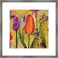 #646 Dance Of The Tulips #646 Framed Print