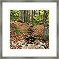 Appalachian Autumn Framed Print