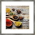 Spices #3 Framed Print