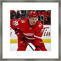 Florida Panthers V Detroit Red Wings #6 Framed Print