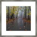 Autumn Landscape With Trees And Autumn Leaves On The Ground After Rain Framed Print