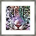 Rainbow Leopard Framed Print