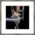 Nina Underwater For The Hydroflute Project Framed Print