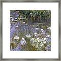 Water Lilies #76 Framed Print