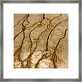 Grand Prismatic Spring In Yellowstone National Park #8 Framed Print