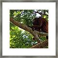 Mompox Bolivar Colombia #8 Framed Print