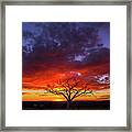 Taos Welcome Tree #8 Framed Print