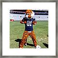 Aubie The Tiger At Auburn University Framed Print
