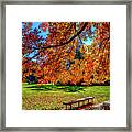 Fall Foliage Massachusetts Usa #9 Framed Print
