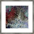 Untitled #10 Framed Print