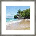 Painting Of Birch On The Beach Framed Print