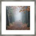 A Dog In The Forest Framed Print