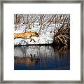 A Dog Jumping Into A Lake. Framed Print