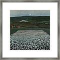 A Flower Field Up North, 1905 Framed Print