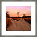A Fork In The Road Framed Print