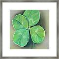 A Four Leaf Clover For Luck Framed Print