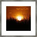 Rolling Golden Ball Framed Print