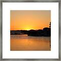 A Guest Appearance Framed Print